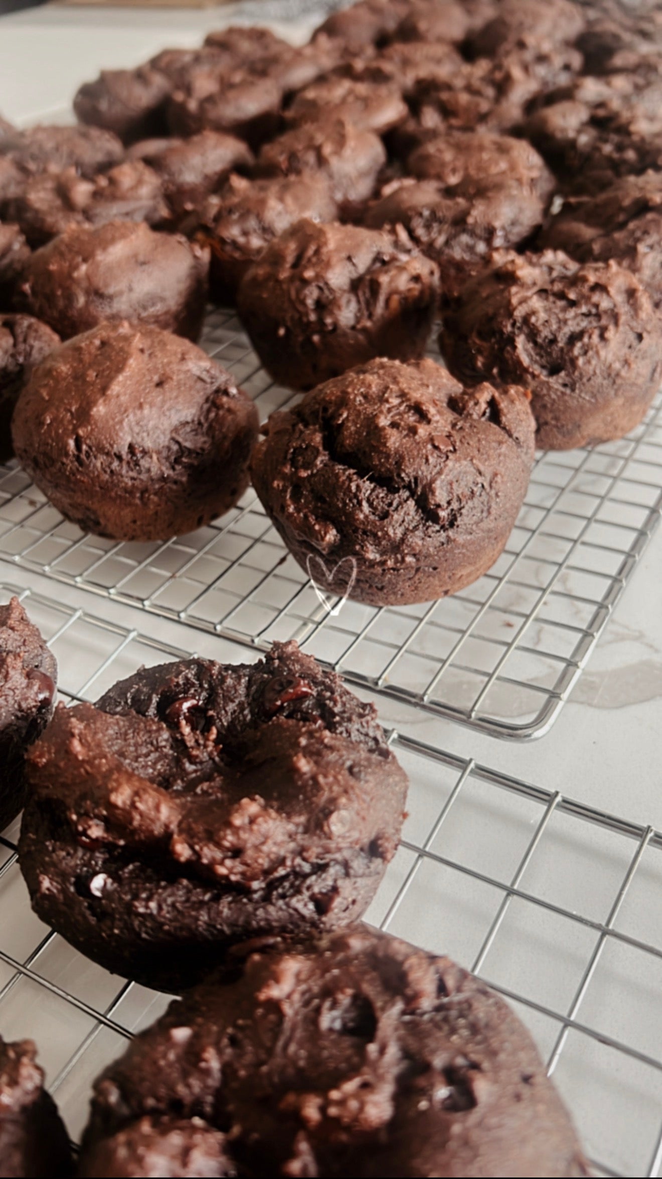 Protein Muffins